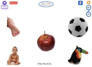 Screenshot of a variety of images with the words "Find the bird" at the bottom of the screen.