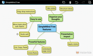 Simple Mind, mind map example as a vertical type tree diagram with labels in 3 different colors and different sizes and some with multiple branches.