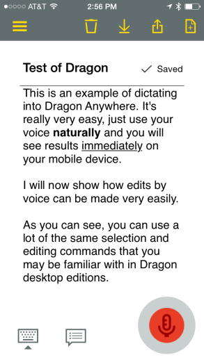 Screenshot of voice-to-text transcription. 