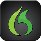 Dragon Go! logo. 