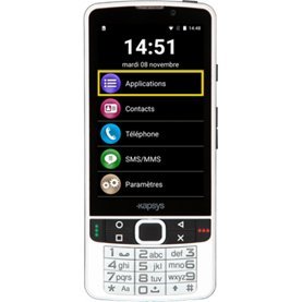 Candybar style phone with a large screen display above a keypad control panel.