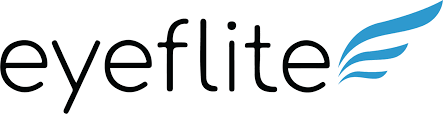 Eyeflite in lower case letters with a teal and white striped wing graphic at the end. 