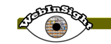 Webinsight Logo