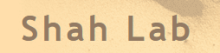 Shah Lab Logo