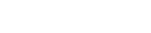 StylusFlex Logo