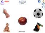 Screenshot of a variety of images with the words "Find the bird" at the bottom of the screen.