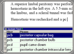 Screenshot showing a list of abbreviations and their meanings on the bottom and text being written on the top half of the screen.
