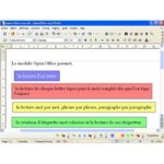 A screenshot of a word processing page in French with a typed sentence followed by several sentences, each shown in a different color box.