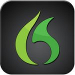 Dragon Go! logo. 