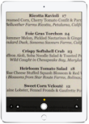 Magnifier on iPad showing lightning bolt, advance features button, and magnification scroll.