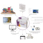 Equals software package highlighting components included like assessment kit, Action Dictionary,1335 math flash cards and 24 skill themes.
