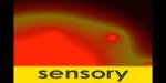 Black rectangle with red cloud-like image with a green border. The lowercase word sensory appears at the bottom inside a yellow bar.