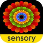 Rounded square with an overhead view of a colorful flower against a black background. The lowercase word sensory is at the bottom of a yellow band.