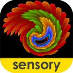 Rounded square with a colorful complex abstract design circular in form against a black background. The lowercase word sensory is at the bottom inside a yellow band.
